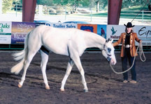 2006 Rancho Murietta Non-Pro longeline winner